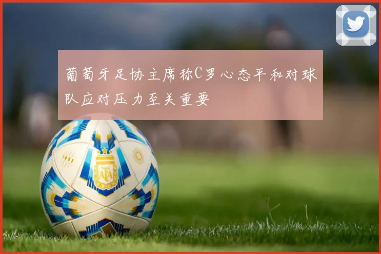 葡萄牙足协主席称C罗心态平和对球队应对压力至关重要