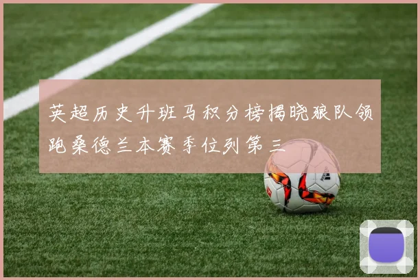 英超历史升班马积分榜揭晓狼队领跑桑德兰本赛季位列第三